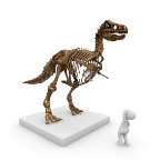 Dinoskelett0000